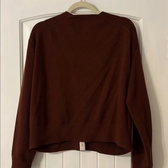 Everlane Brown V-Neck Cardigan with Contrast Trim - Picture 7 of 11